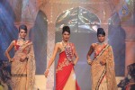 Bolly Celebs Walks the Ramp at IIJW 2014 - 96 of 152
