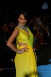 Hot Celebs at IIJW 2012 Show - 38 of 238