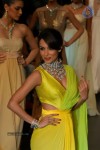 Hot Celebs at IIJW 2012 Show - 41 of 238