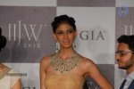 Hot Celebs at IIJW 2012 Show - 88 of 238