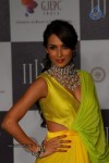 Hot Celebs at IIJW 2012 Show - 235 of 238