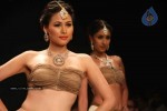 IIJW 2011 Ramp Walk Show Day 3 - 65 of 81