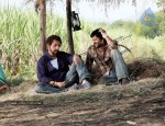 Ishqiya Movie Stills - 42 of 46