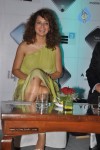 Kangana Ranaut Launches Alcatel New Moble - 31 of 40