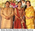 Karishma n Rohan Palshetkar Wedding Reception - 20 of 24