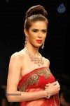 Models at IIJW 2011 Ramp Walk Show - 87 of 91