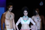 Models at IIJW 2011 Ramp Walk Show - 88 of 91