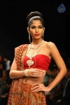 Models at IIJW 2011 Ramp Walk Show - 89 of 91