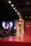 Models walk the Ramp at the Triumph Fashion Show 2015 - 33 of 52