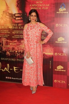 Mughal E Azam Musical Play Red Carpet - 30 of 30