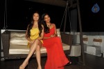 Nautanki Saala Success Party - 58 of 87