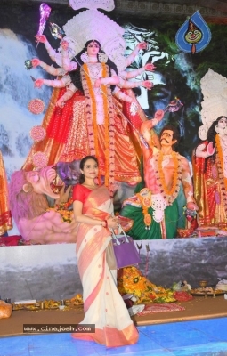 North Bombay Sarbojanin Durga Puja Samity 2017 - 24 of 26