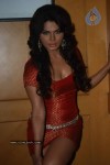 Rakhi Sawant Spicy Stills - 7 of 19