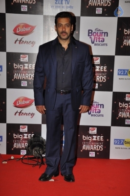 Zee Entertainment Awards Red Carpet  - 51 of 60
