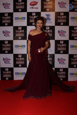 Zee Entertainment Awards Red Carpet  - 52 of 60