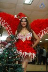 Tanisha Singh Christmas Theme Photo Shoot - 22 of 22