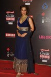 Top Bolly Celebs at 20th Annual Life OK Screen Awards - 74 of 136