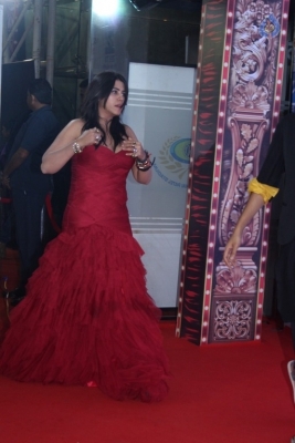 Zee Rishtey Awards 2017 Red Carpet Photos - 22 of 70