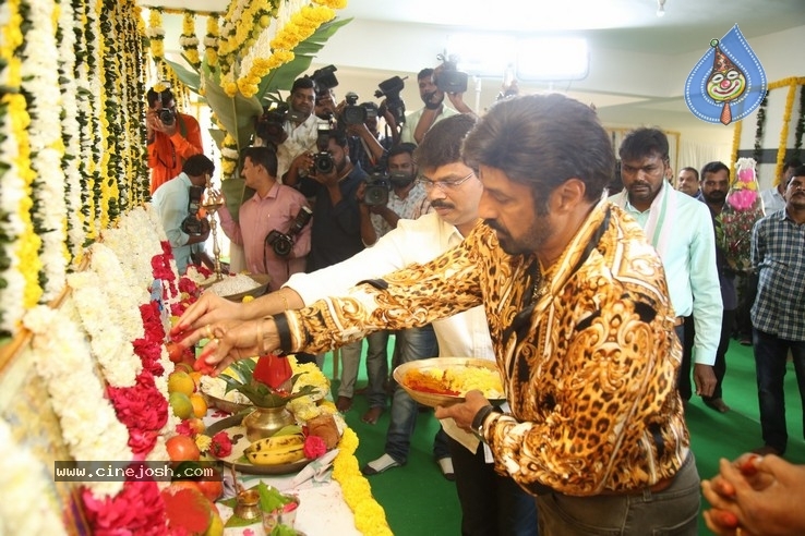 Balakrishna New Movie Opening - 26 / 53 photos