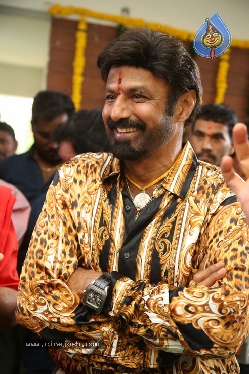 Balakrishna New Movie Opening - 46 / 53 photos