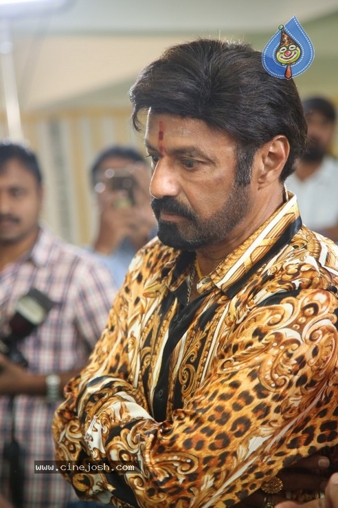 Balakrishna New Movie Opening - 48 / 53 photos