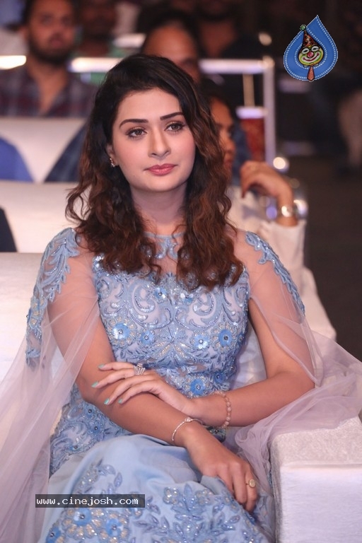 Disco Raja Movie Pre-Release Event - 15 / 83 photos