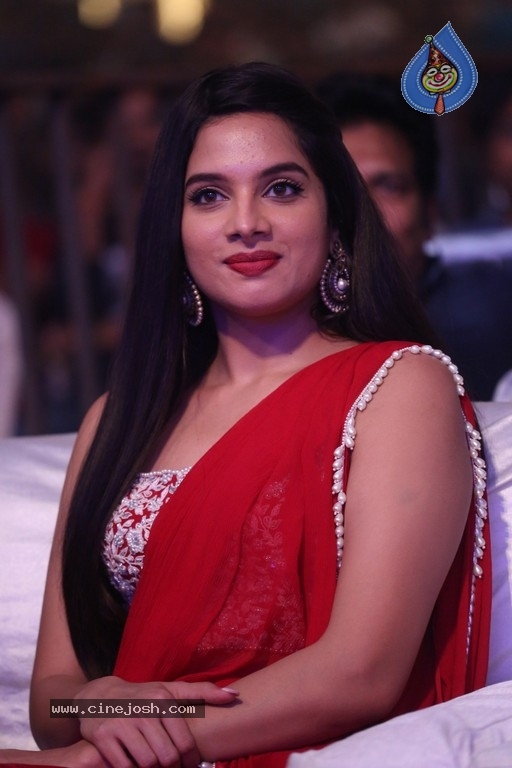 Disco Raja Movie Pre-Release Event - 58 / 83 photos