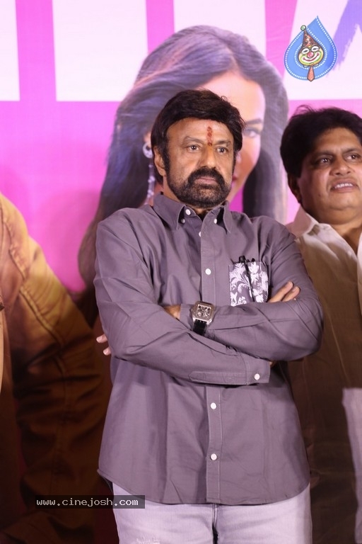 Ruler Movie Success Meet - 12 / 42 photos