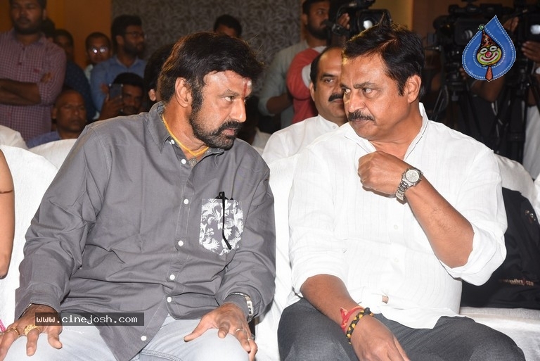 Ruler Movie Success Meet - 33 / 42 photos