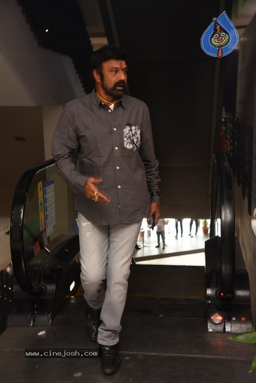 Ruler Movie Success Meet - 36 / 42 photos