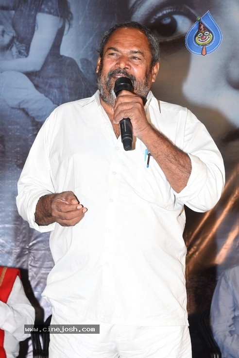 Screenplay Movie Press Meet - 23 / 29 photos