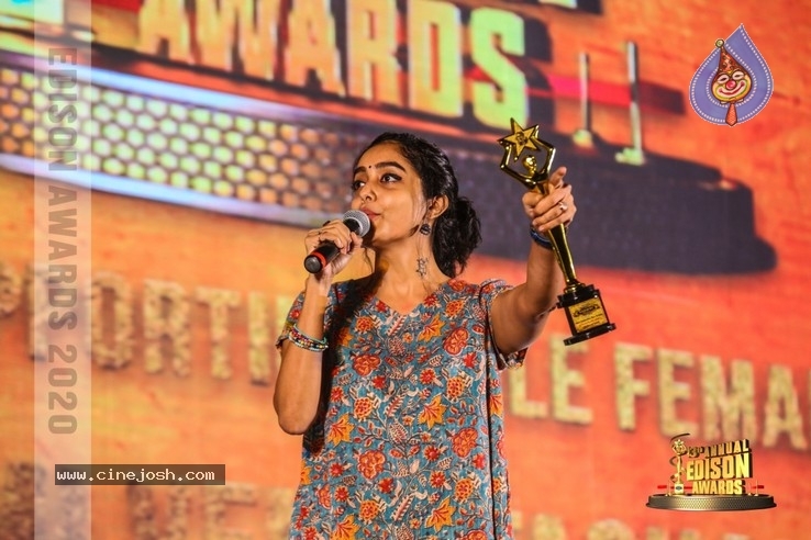 South Indian Cinema Awards - 34 / 44 photos