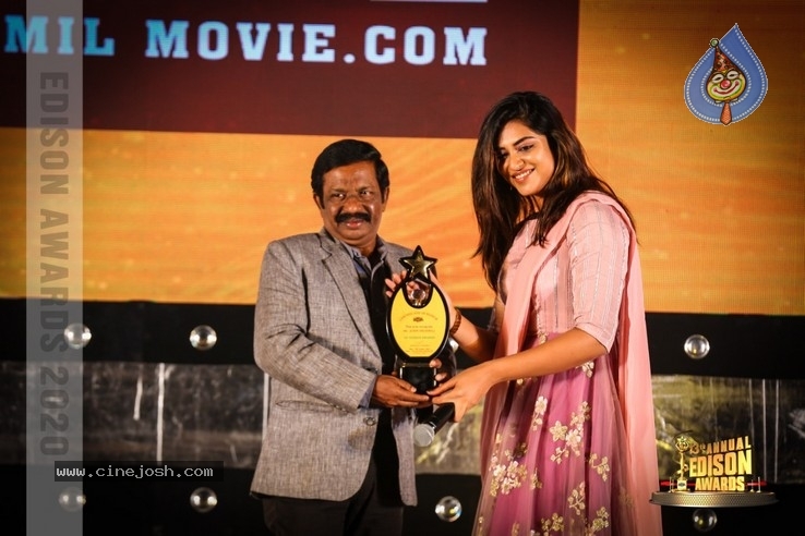 South Indian Cinema Awards - 39 / 44 photos
