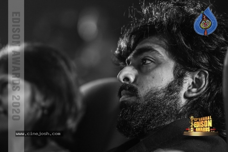 South Indian Cinema Awards - 42 / 44 photos