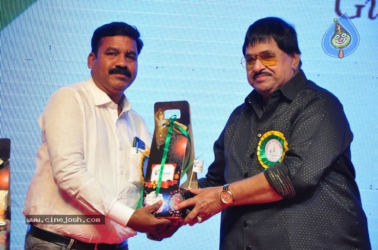 V B Entertainments Bullitera Awards 2019 Photos - 33 / 107 photos