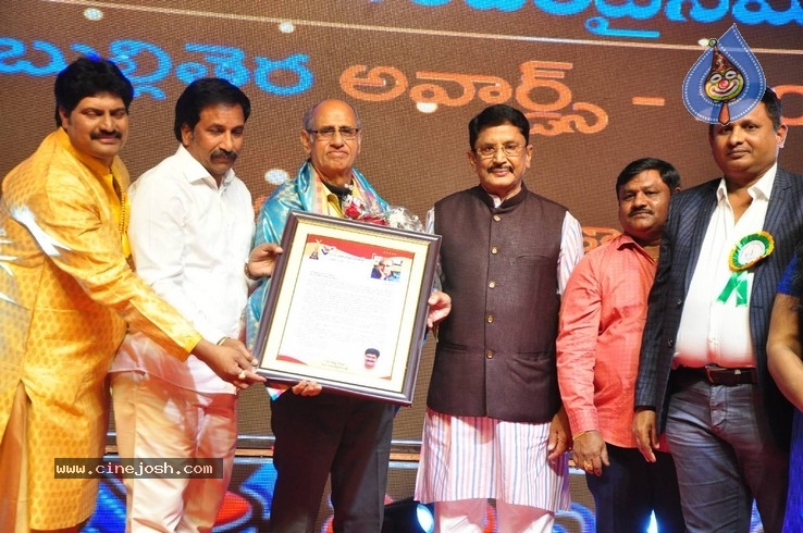 V B Entertainments Bullitera Awards 2019 Photos - 40 / 107 photos