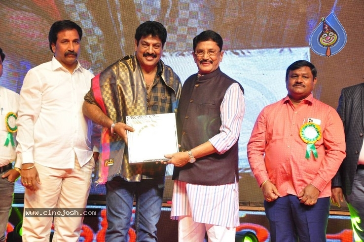 V B Entertainments Bullitera Awards 2019 Photos - 72 / 107 photos
