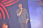 1 Nenokkadine Audio Launch 05 - 30 of 74