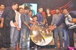 1 Nenokkadine Audio Launch 06 - 29 of 60