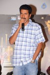 1 Nenokkadine Success Meet - 11 of 48