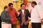 Actor Pandu Son Wedding Reception - 3 of 36