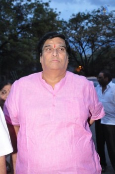 Allu Arjun at Saripalli Kondala rao Amrutotsavam - 13 of 56