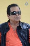Alludu Seenu Brahmanandam PM - 30 of 71