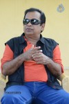 Alludu Seenu Brahmanandam PM - 63 of 71