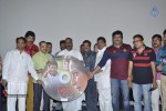 Aloukika Movie Audio Launch - 33 of 45