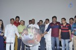 Aloukika Movie Audio Launch - 43 of 45