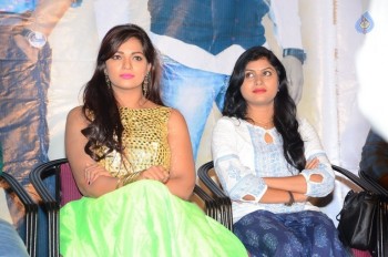 Ameerpet Lo Audio Success Meet - 13 of 29