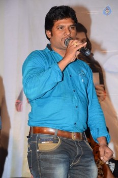 Ameerpet Lo Audio Success Meet - 17 of 29