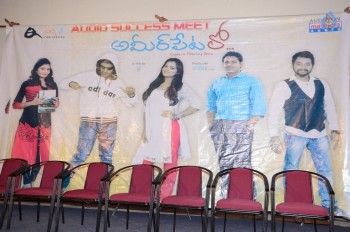 Ameerpet Lo Audio Success Meet - 28 of 29