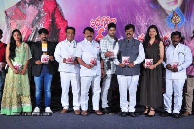 Anaganaga O Rajakumarudu Movie Audio Function - 12 of 12
